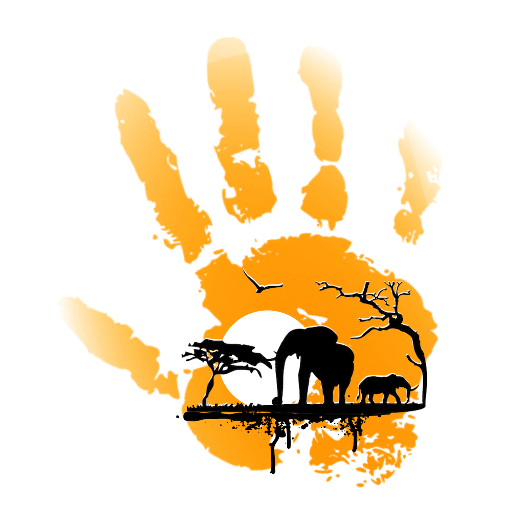 Elephants and trees superimposed on an orange hand. The NYCE logo.