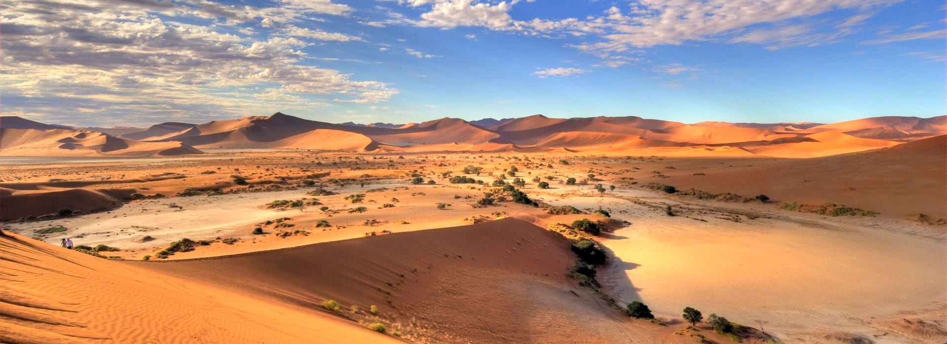 The golden Namibian desert below a blue sky.