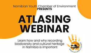 Webinar report: Understanding Environmental Impact Assessments (EIAs) in Namibia