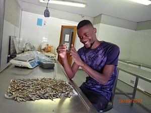 Freshwater fish as a potential nutritional gap-filler in combating malnutrition in Namibia