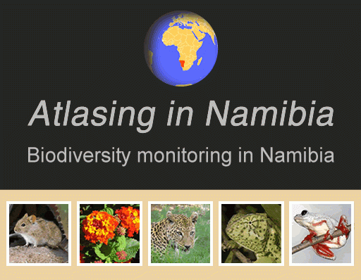 Atlasing in Namibia ad