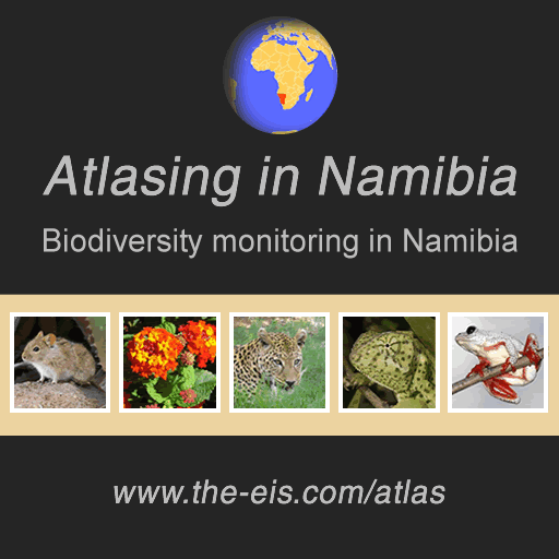 Atlasing in Namibia ad