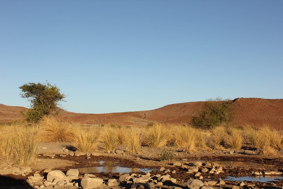 The Namibian drylands